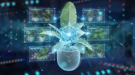 Fototapete - Holographic projection of a plant with digital analysis on blue background 3D rendering