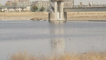 Panoramic Landscape Of The Embankment Of Water In Urban Area Of The City And Vogels Swimming Freely On The Surface Of The Water