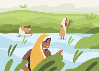 Wall Mural - Indian farmers working on rice field, standing in water. Farm workers work on farmland in Asia. Happy people on Asian paddy plantation. Traditional agriculture in India. Flat vector illustration