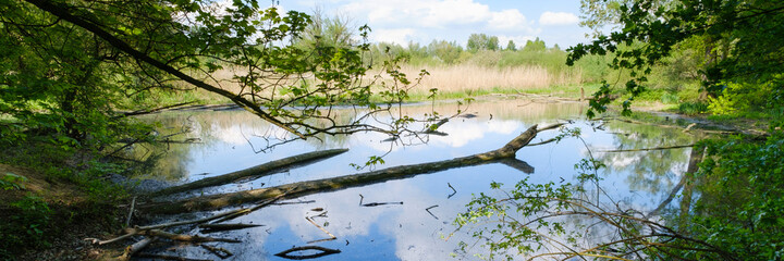 Wall Mural - Landschaftsschutzgebiet im Mersche an der Lippe, Lünen, Ruhrgebiet, Nordrhein-Westfalen, Deutschland, Europa