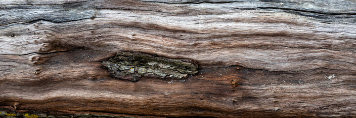 Canvas Print - Texture of weathered wooden surface