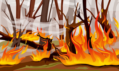 Poster - Forest Fire Flame Composition