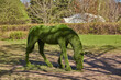 © FO_DE - A horse figurine made from lawn grass in a public park. Landscape design. Topiary figures.