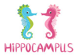 Fototapeta Dinusie - Pair of seahorses, scandinavian style hippocampus, hand drawn, pink and turquoise, boy and girl, love and family