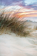 Beach grass on dune, Baltic sea at sunset