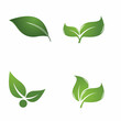 © evandri237@gmail - Leaf icon Vector Illustration design Logo template