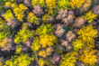 © creativenature.nl - aerial view of autumn forest with colorful foliage