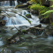 Natural View Of The Cascade Of A Small Creek In A Forest With Long Exposure
