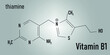 Vitamin B1 (thiamine) molecule. Skeletal formula.	