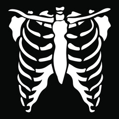 White chest bone. T-shirt print for Horror or Halloween. Hand drawing illustration isolated on black background. Vector EPS 10. 