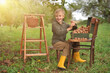 © Jacek - Child, boy 6 years old, harvesting walnuts, outdoor. Natural light.