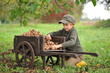 © Jacek - Child, boy 6 years old, harvesting walnuts, outdoor. Natural light.