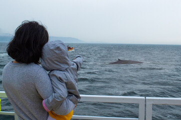 Wall Mural - mother and daughter looking at the whale