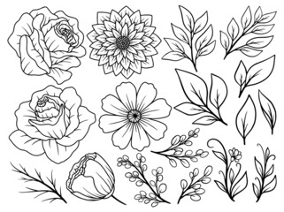 Wall Mural - Hand drawn flower sketch line art illustration set.