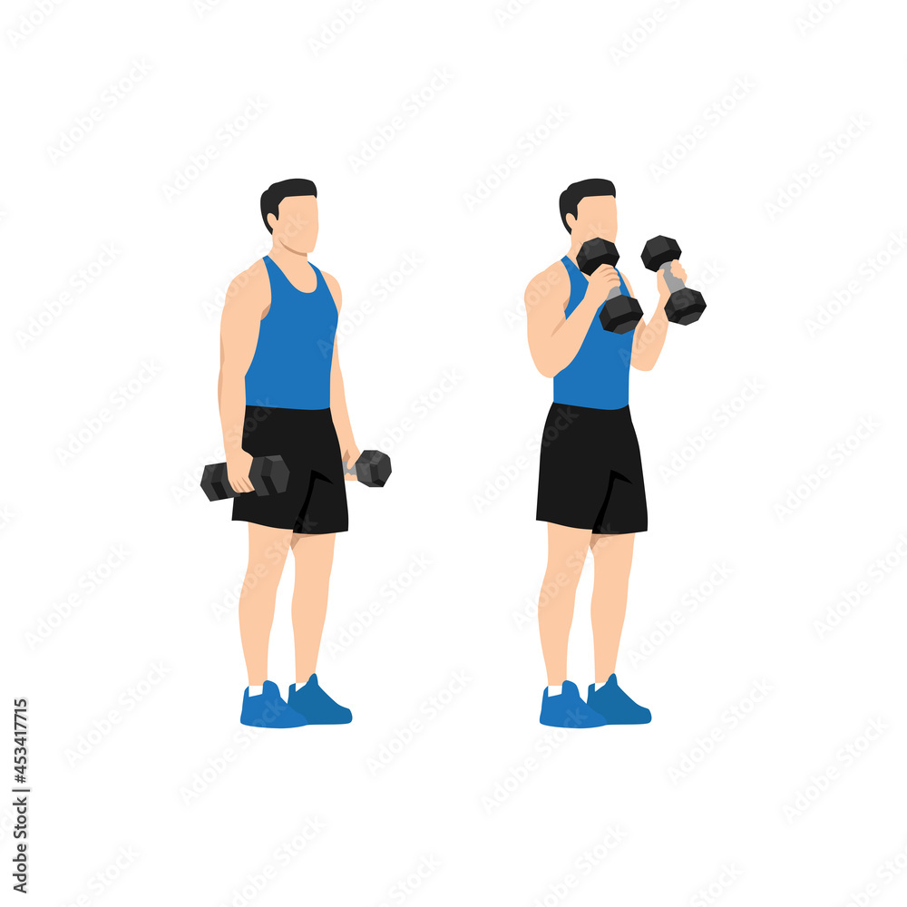 Man doing standing dumbbell bicep hammer curls. Flat vector ...