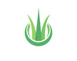 © Yoga Prasetya - Artificial grass leaf icon design logo template.zip