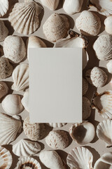 Wall Mural - Neutral beige and white seashells pattern background. Blank paper, invitation card sheet with empty mock up copy space. Aesthetic minimalist blog, social media template