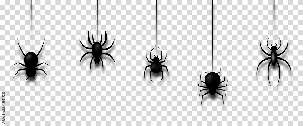 Vector illustration with hanging spiders for decoration and covering on transparent background. Creepy background for Halloween - obrazy, fototapety, plakaty 