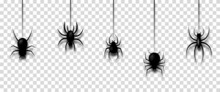 Vector Illustration With Hanging Spiders For Decoration And Covering On Transparent Background. Creepy Background For Halloween