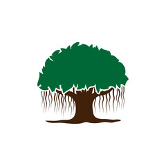 Poster - Banyan tree icon design template illustration