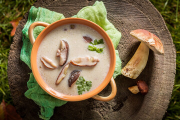 Wall Mural - Boletus cream with parsley and cream. Creamy Boletus soup.