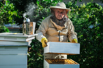 Wall Mural - Beekeeper on apiary. Beekeeper is working with bees and beehives on the apiary. Apiculture.