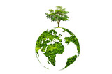 Fototapeta Sawanna - earth day tree on green earth on white isolate background