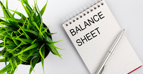 Poster - Keyword BALANCE SHEET - business concept text on a white notebook and pen, green flowers