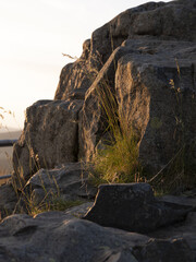 Sticker - Vertical shot of rocks surrounded by grass during sunset