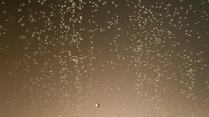 Poster - Super slow motion of champagne bubbles texture. Filmed on high speed cinema camera, 1000 fps.