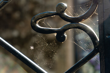 Sticker - Vertical shot of spider webs on black metal bars