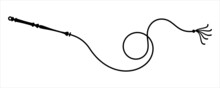 Whip Icon Y_2108001