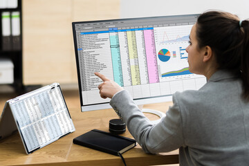 Poster - Woman Using Finance Spreadsheet Report