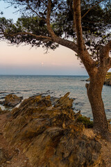 Wall Mural - Sunset at Platja De S'arenella in Cadaques, a town on the Costa Brava of Catalonia, Gerona, Mediterranean Sea. Spain