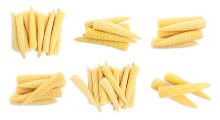 Set with tasty baby corn cobs on white background