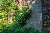 Fototapeta Natura - Velyki Mosty, Ukraine - july, 2021: the ruins of Synagogue in Velyki Mosty.	