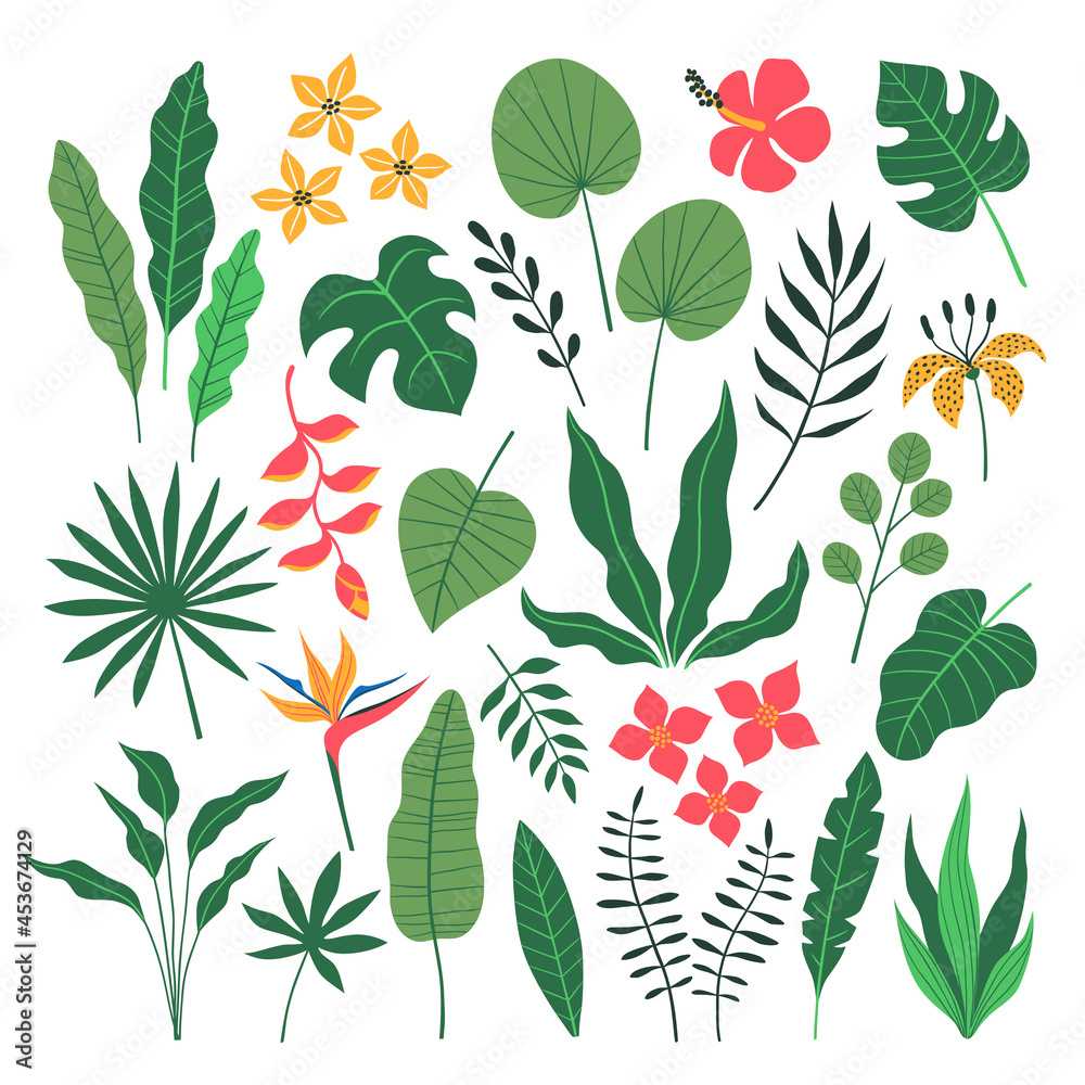 Vector set of tropical jungle leaves and flowers in flat style isolated ...