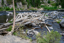 Logjam On The Lewis River, Weathered Logs Caught Up On Rocks, Yellowstone National Park, USA
