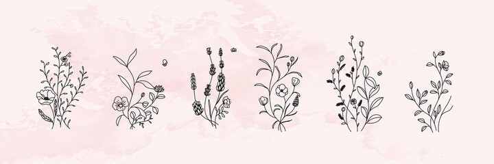 Wall Mural - minimal botanical graphic sketch line art drawing, trendy tiny tattoo design, floral elements vector illustration