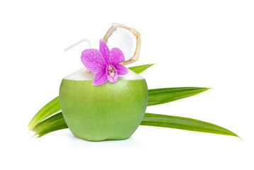 Wall Mural - green coconut isolated on white.