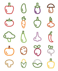 Wall Mural - Garden vegetables, illustration, on a white background.