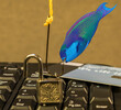 © sergei_fish13 - Phishing. Fish hook, lock key and credit card on computer keyboard. Computer crime, Data theft, cyber crime, combating against crimes, digital collage