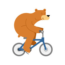 Bear On Bicycle. Beast Is Riding Bicycle. Cartoon Childrens Illustration
