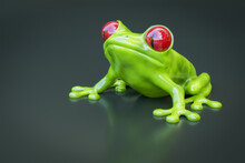Green Tree Frog With Red Eyes