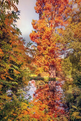 Wall Mural - Fall foliage in France. Autumnal colors landscape
