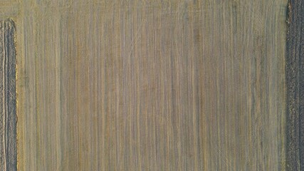 Canvas Print - Top view of the harvested field. Wheat stalks background