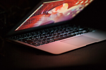 Canvas Print - Closeup shot of an open laptop on a dark surface - work from home concept