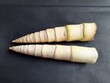 Bamboo shoots. Bamboo shoots  are the edible shoots of many bamboo species including Bambusa vulgaris and Phyllostachys edulis. Its used as vegetables in numerous Asian dishes and broths.