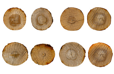 Poster - birch log cut set isolated on white background