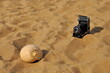 An analog black camera and a seashell on the sand